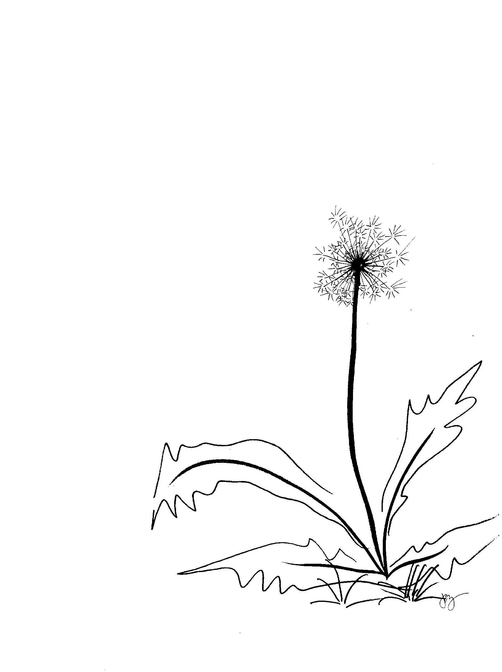 1634x2185 Dandelion Down Joy Hanford All Rights Reserved