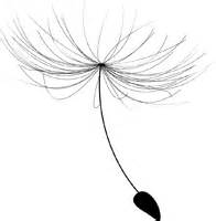 196x200 Drawn Dandelion Outline
