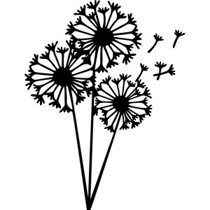 300x300 Dandelion Clipart Black And White