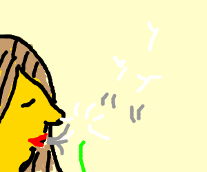 300x250 Dandelion Seeds Blow Away In The Sunset