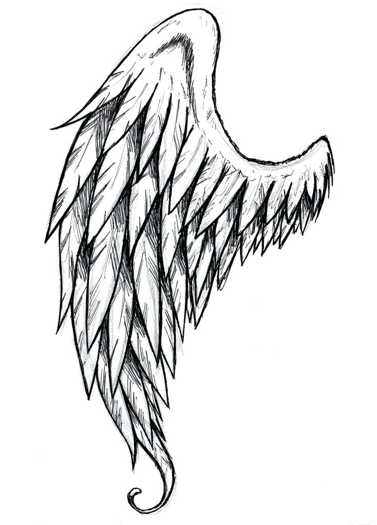 736x1025 Angel Wings Drawing Step