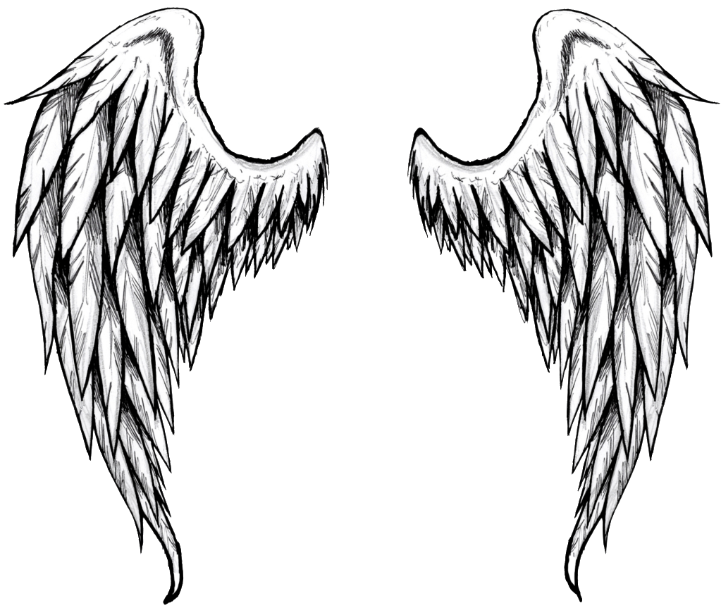 Free Angel Wings Drawing Download Free Angel Wings Dr - vrogue.co