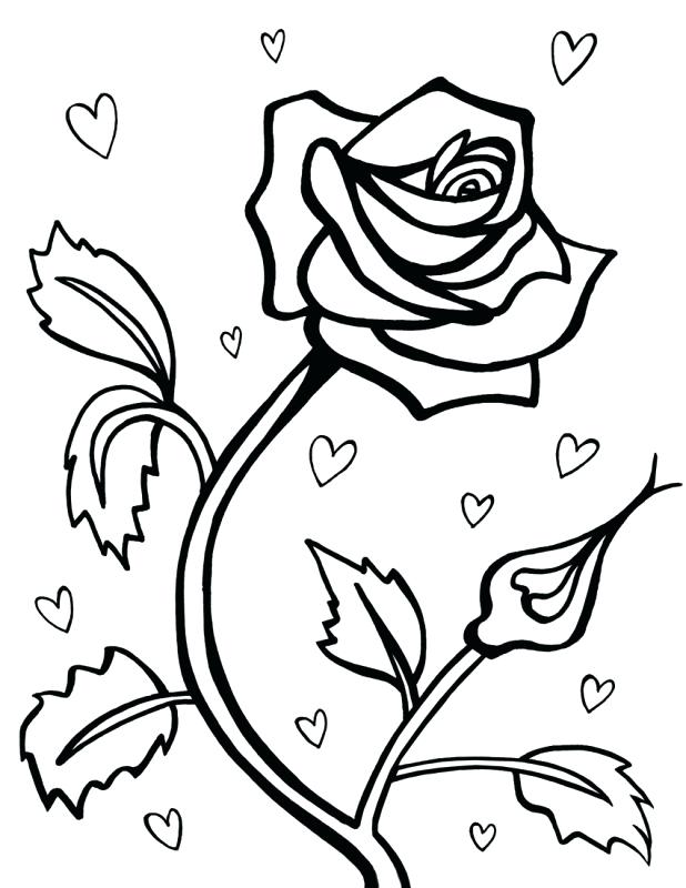 618x800 Coloring Pages Draw A Rose For Kids Coloring Pages Flowers Drawing