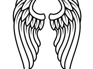 320x240 Free Pictures Of Angels With Wings Dark Angel Wings Drawing