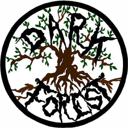 500x500 Dark Forest Sounds Free Listening On Soundcloud