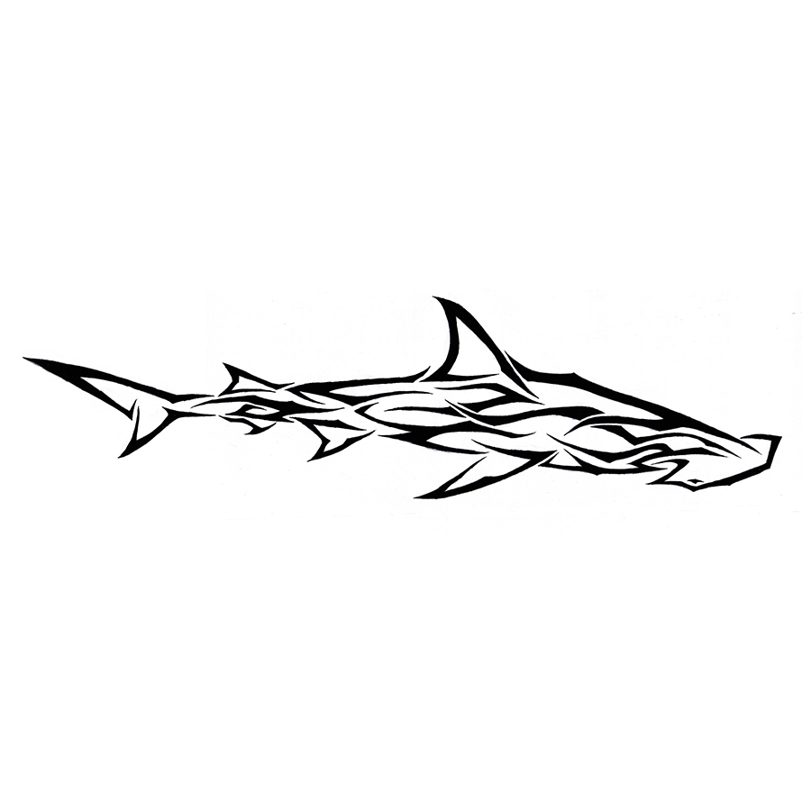 900x900 Hammerhead Shark, Picture