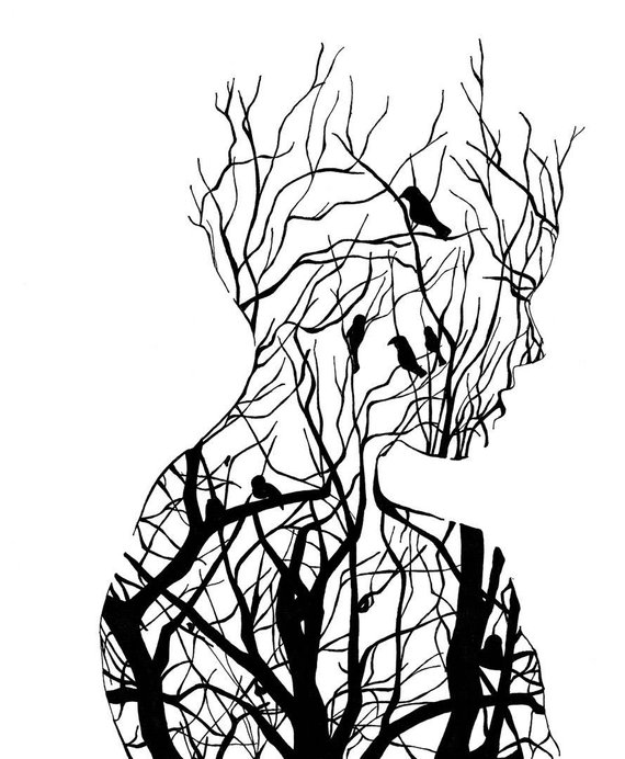 570x692 tree silhouette in products drawings, art, tree silhouette