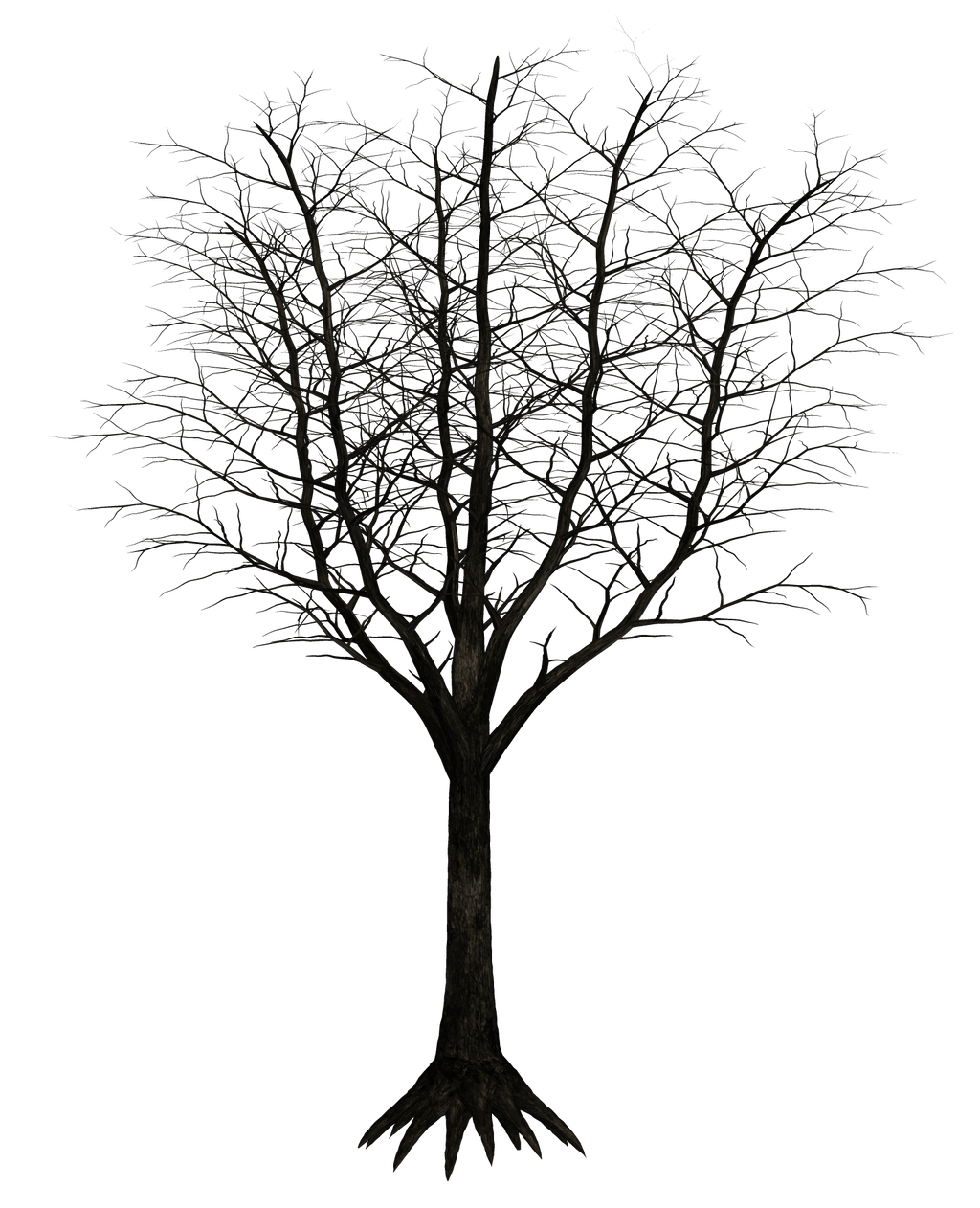 1024x1262 Dark Trees Png Stock