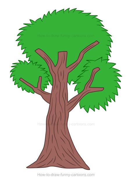 454x622 How To Draw A Cartoon Tree