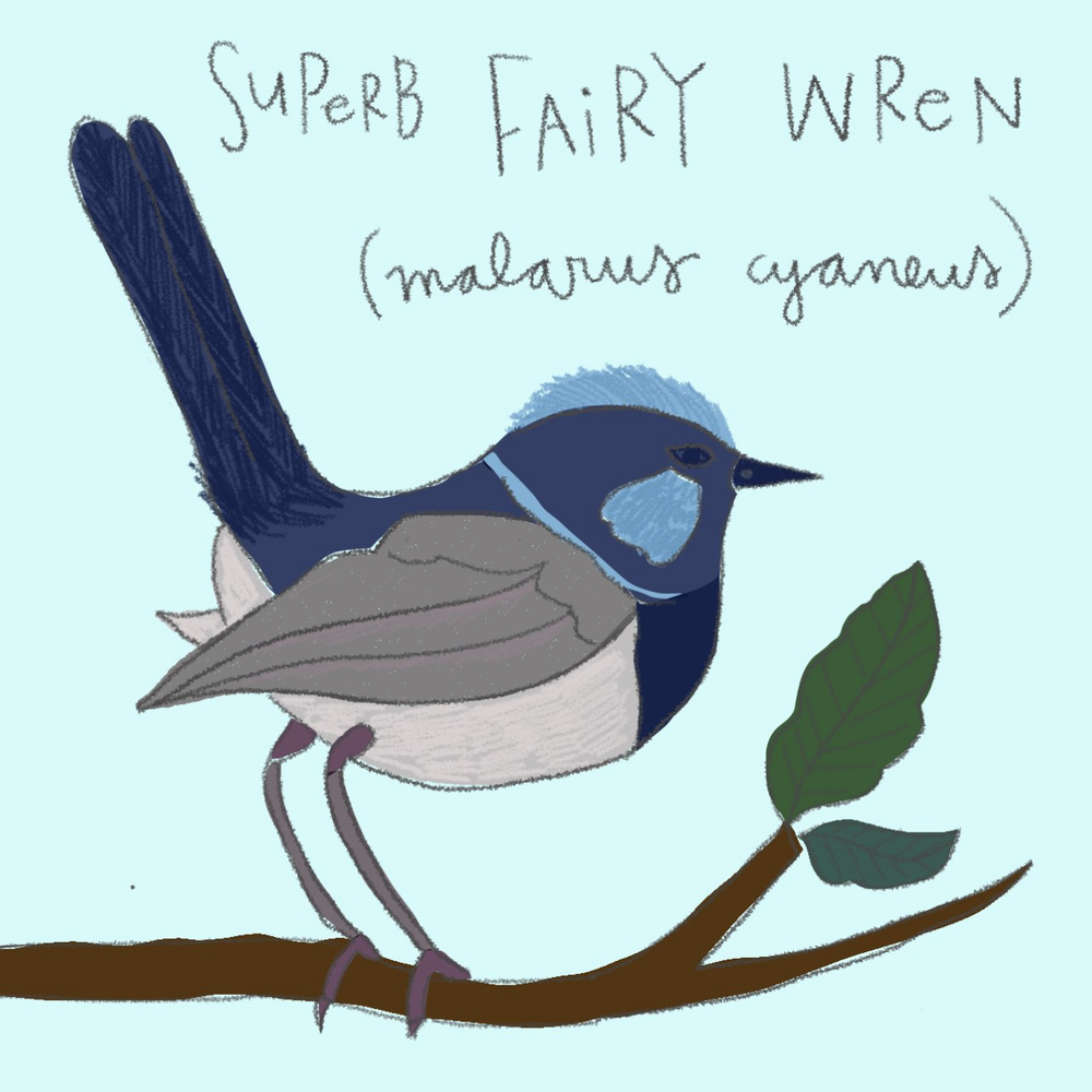 1000x1000 Digital Artwork Letterspace Handmade