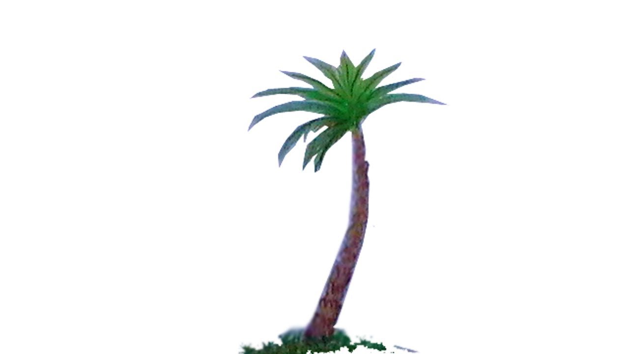 1280x720 date palm drawinghow to draw a date palm step