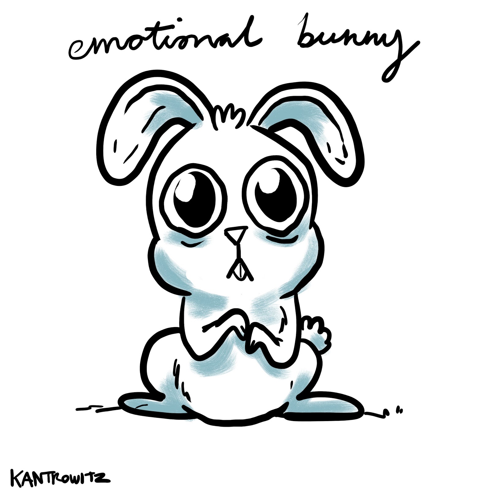 1600x1600 David Kantrowitz