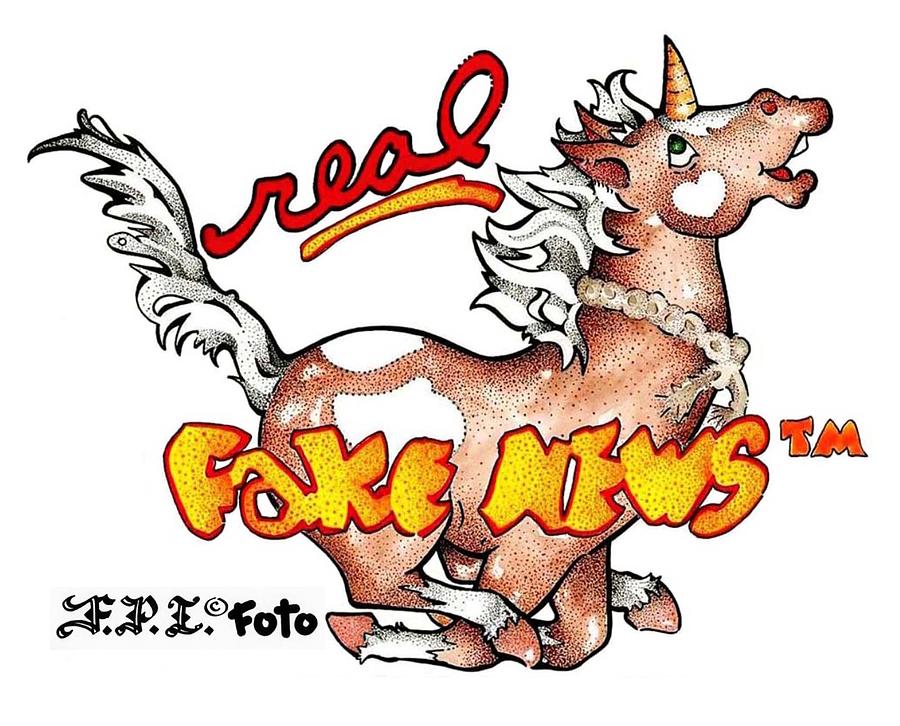 900x726 real fake news fpi foto drawing