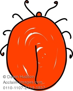 243x300 Clipart Image Of A Whimsical Drawing Of A Tick