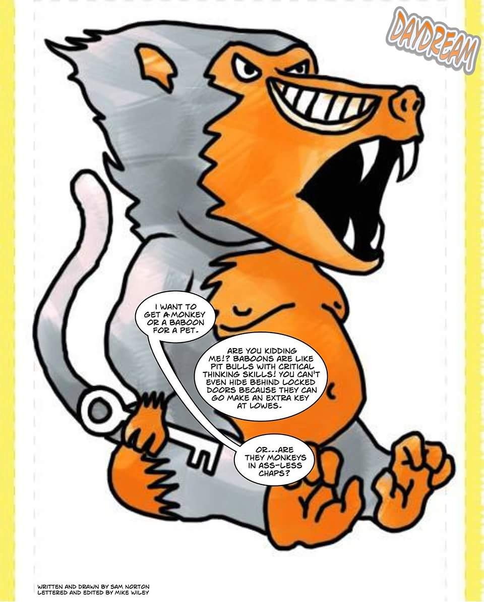 960x1193 Sam Norton On Twitter New Daydream Baboon