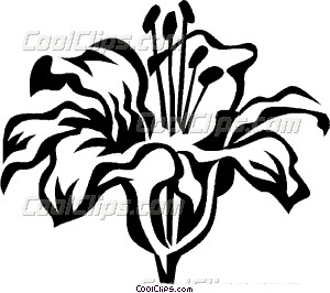 300x266 Daylily Drawing