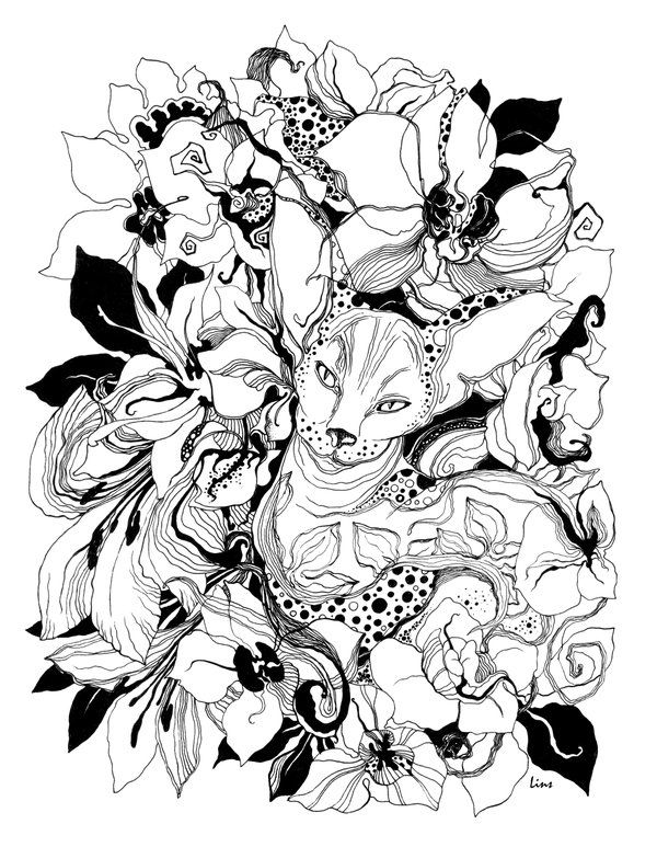 600x773 Daylily Drawing Free Download