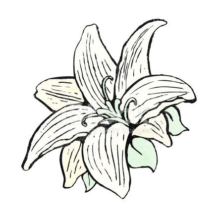 440x440 Flowers Drawing Stock Vector