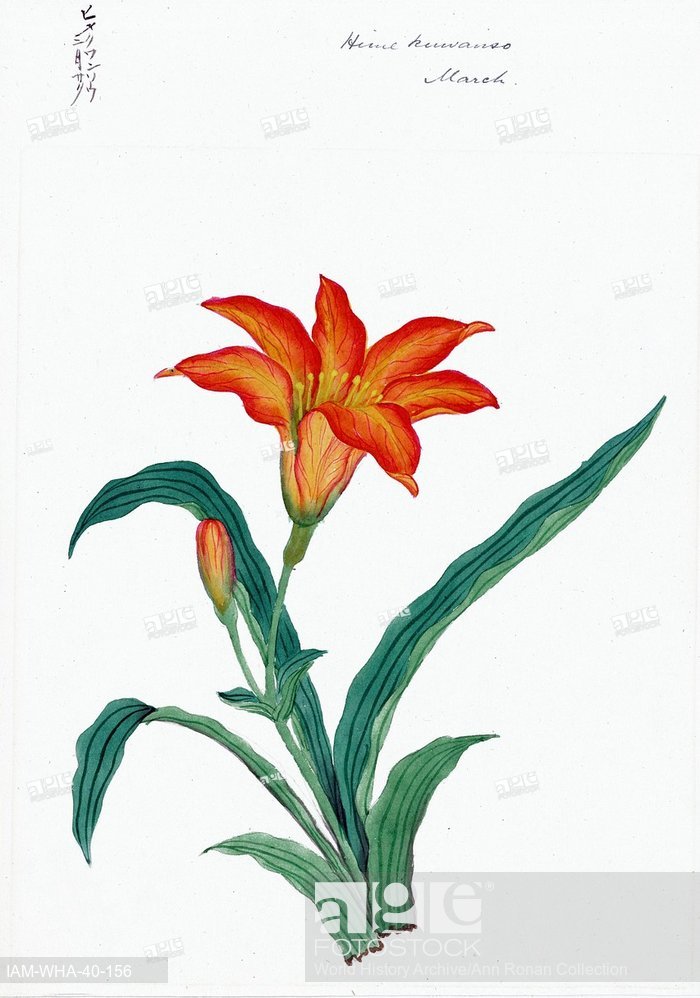 700x998 Hime Kuwanso