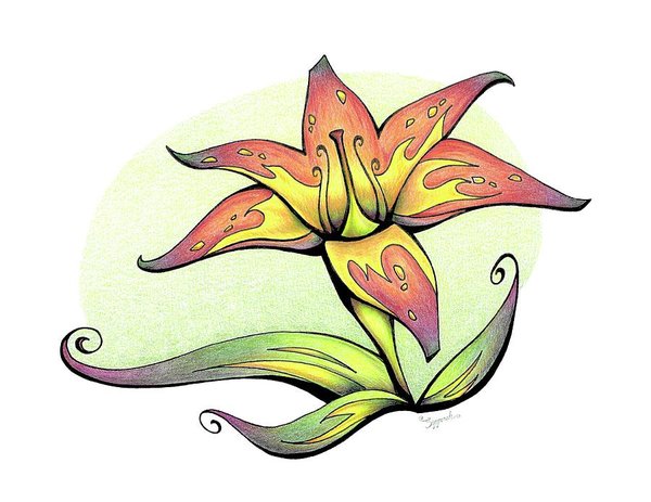 600x463 Yellow Lily Drawings Fine Art America