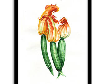 340x270 Zucchini Drawing Etsy