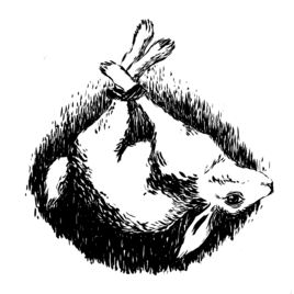 268x268 dead rabbits podcast episode please don't tell me about your