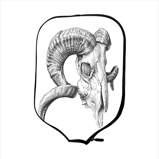 522x522 Mt Goat Skull Drawing