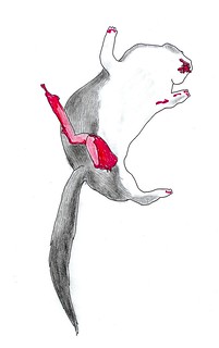 201x320 dead animal frida stenmark