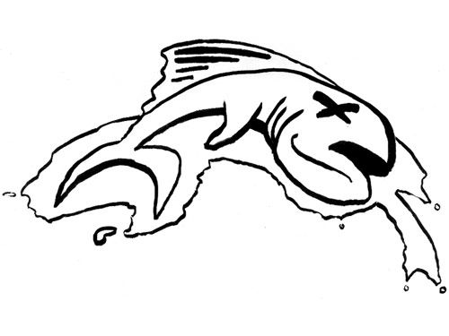 500x375 Dead Fish Drawing