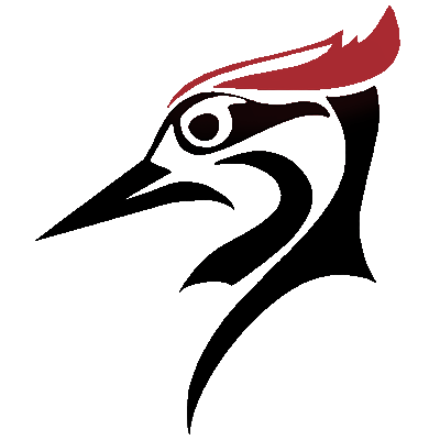 400x400 St John's County Audubon Report Sightings