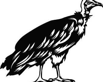 340x270 Vulture Drawing Etsy