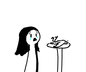 300x250 A Girl Keeps A Dead Bird As A Pet