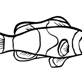 268x268 Dead Fish Coloring Pages