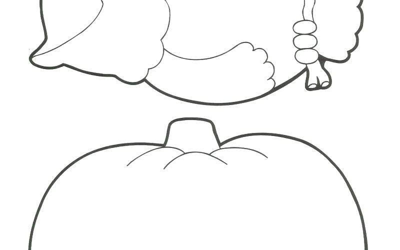 800x500 Images Of Day Of The Dead Flower Coloring Pages