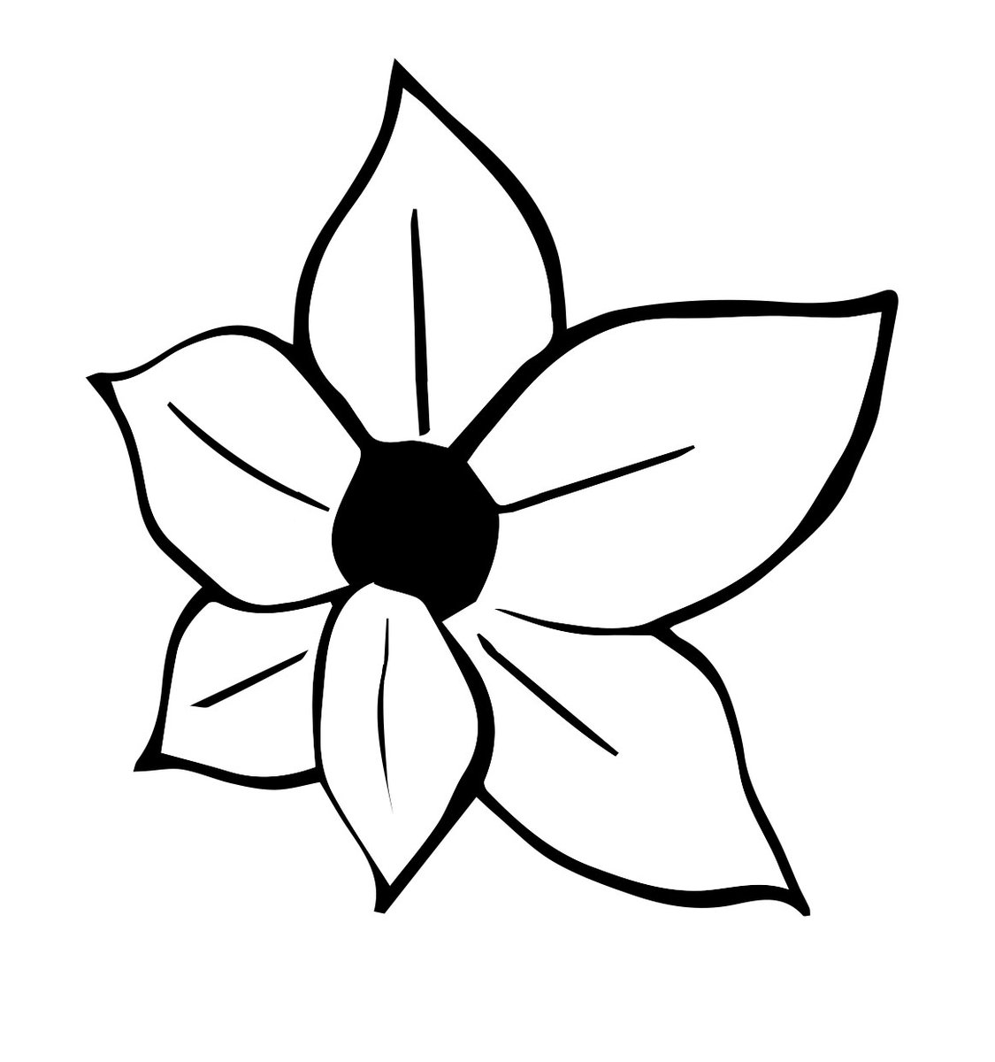 1125x1200 The Anthology Of Dead Photography Flower Sounds