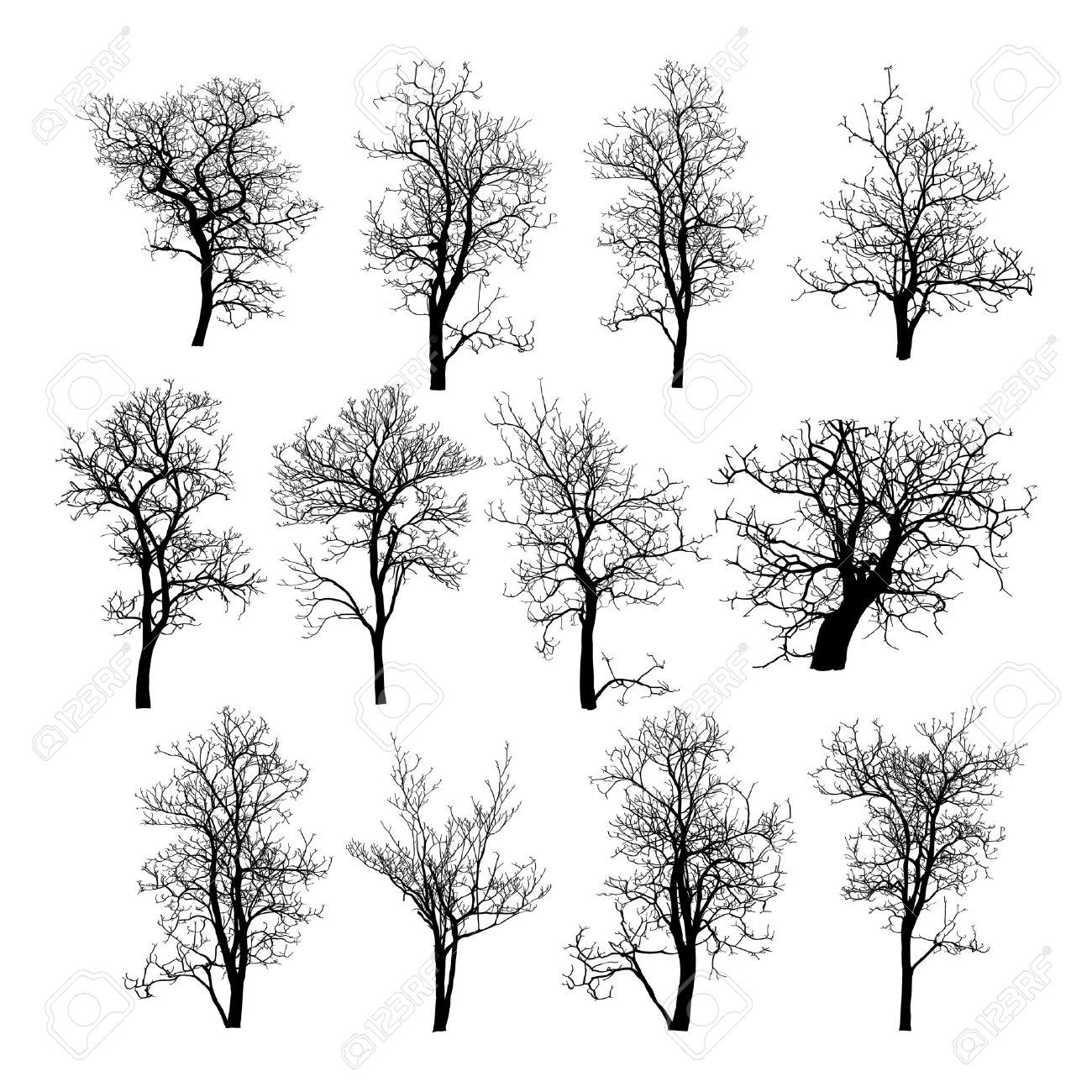 1300x1300 Dead Tree Without Leaves Vector Illustration Sketched