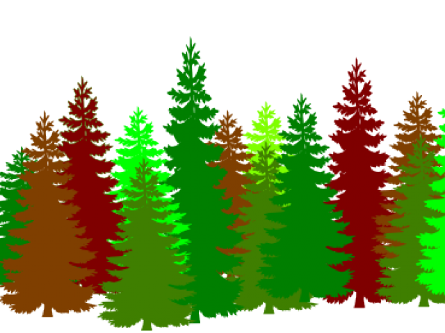 640x480 Forrest Drawing Forest Landscape Transparent Png Clipart Free
