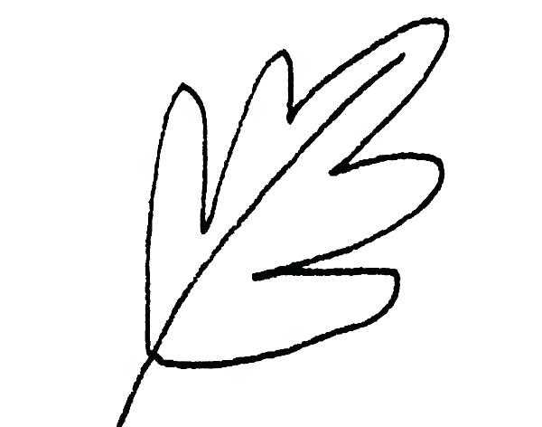 600x472 fall leaf shapes types drop dead gorgeous home improvement autumn