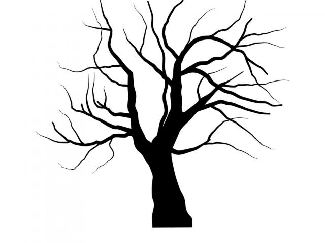 640x480 Free Drawn Leaf, Download Free Clip Art