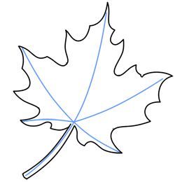 260x260 How To Draw Maple Leaves