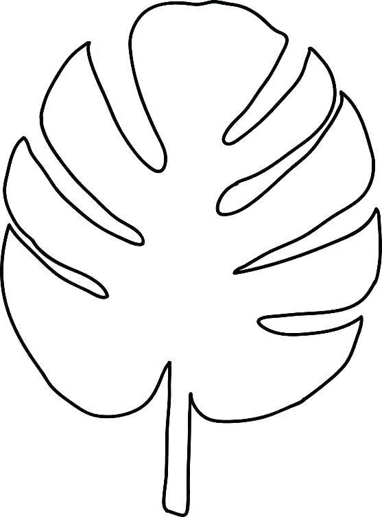 557x753 Leaves Outline Dead Tree Coloring Pages Print Images