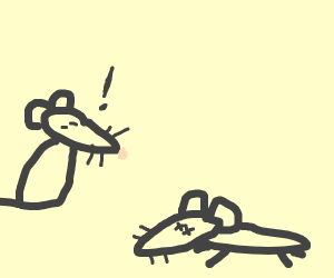 300x250 Different Varieties Of A Species Meeting