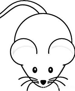 248x300 Shablon Myshi Dlia Applikatcii Dzivnieki Dead Mouse Smell, Dead