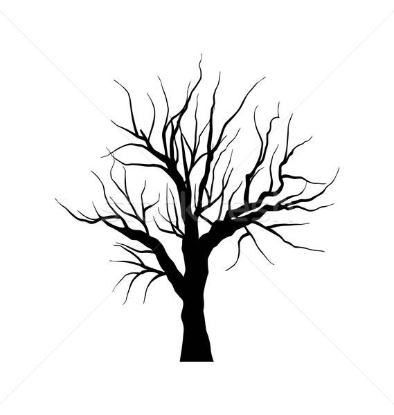 569x600 Dead Tree Stock Vectors, Illustrations And Cliparts Stockfresh