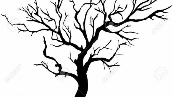 585x329 Excellent Design Ideas Dead Tree Outline Trees Drawing