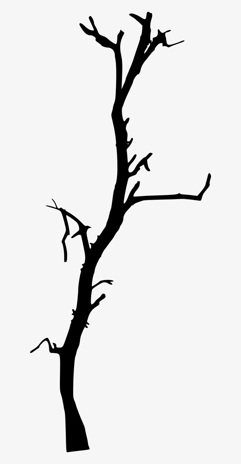 820x1580 Free Download