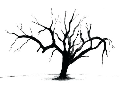 495x353 How To Draw Dead Trees Dead Tree Drawings Google Search How