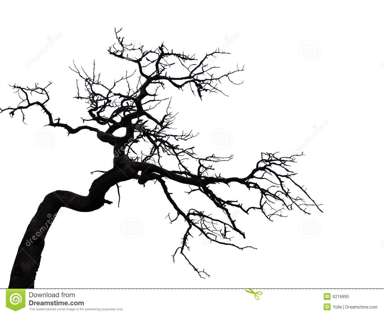 1300x1065 Huge Collection Of 'scary Trees Drawing' Download More Than