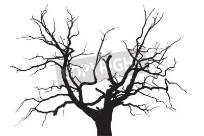 400x267 Oak Tree With Roots Clipart