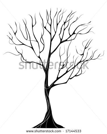 377x470 Tree Drawings Without Leaves